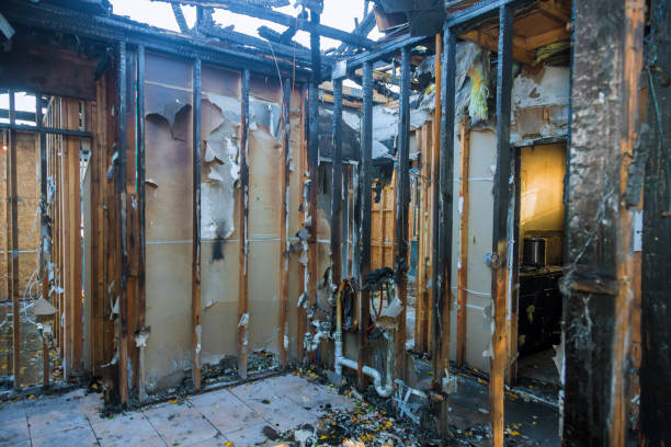 Professional Fire Damage Repair technician working in Old Brookville, NY